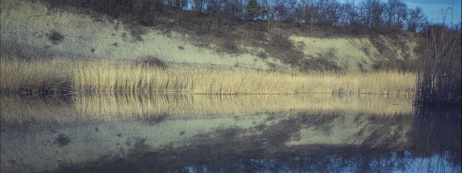 Renaturation 1542523 1920